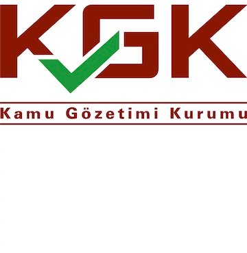 Şirketlerin Denetime Tabi Olma Durumu Sorgulama Sistemi